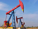 Petrochemical